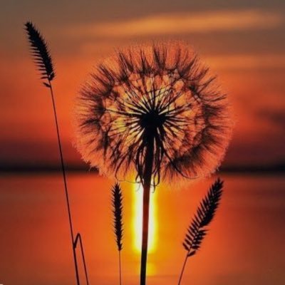 just tweets about life and staying true to yourself ••• don't stress, be blessed! #goodvibes #truelifetweets