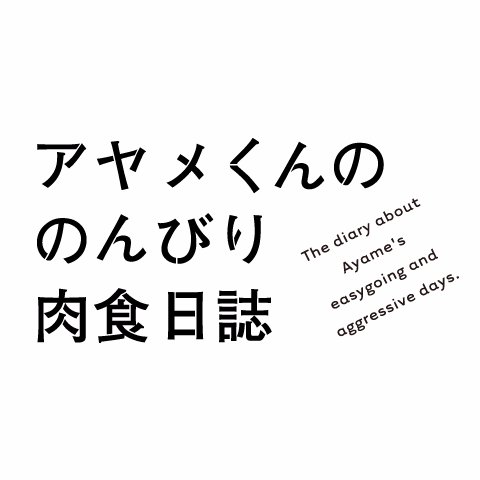 「第6回ananマンガ大賞」準大賞を受賞した、月刊「FEEL YOUNG」（祥伝社）絶賛連載中のコミックが実写映画化！ 黒羽麻璃央・足立梨花のＷ主演で2017年10月全国劇場公開！11月には作品配信を開始！そしてBlu-rayを2018年8月25日に発売！ #アヤメくん