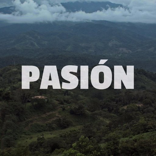 pasiondoc's profile picture. Ce documentaire transmédia nous plonge dans le contexte paysan colombien, dans la vie quotidienne d’une famille de Cocorná, aux alentours de Medellin.