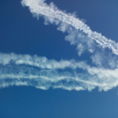 symatnaf's profile picture. 書物/大河/fgo
絶望の夢を、希望の歌を。