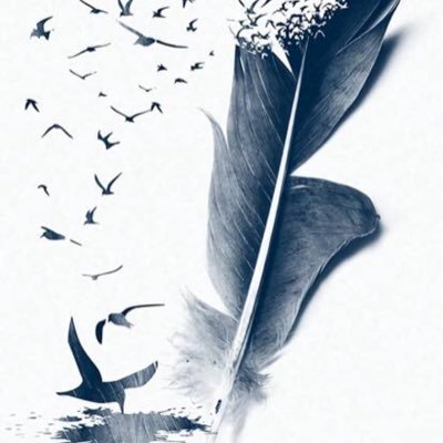 munroamanda85's profile picture. 