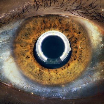 secondomichele's profile picture. EMMP student @unigenova /employee @msccargo 🚛🚢