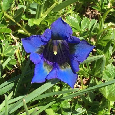 Mes tweets reflètent un avis personnel et n'engagent que moi. Adhérent #LR et #NouvelleEnergie