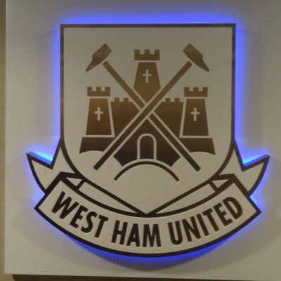 lifelong West Ham fan Sometimes right sometimes wrong but always certain