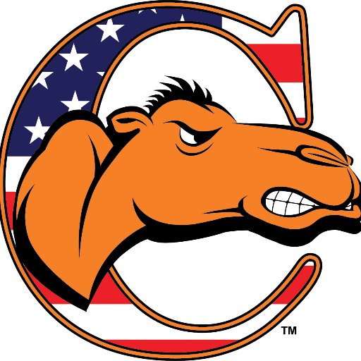 Official Twitter Account for Campbell University Football Equipment! Home of the Fighting Camels!