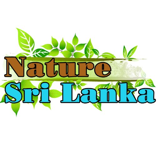 We want to open the door you to visit #srilanka everyone call as the #paradise of the world. you can see most popular cities like #Ella, #Bandarawela, #colombo.