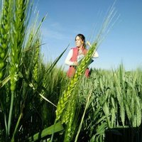 Samira El Hanafi (@samiraelhanafi) 's Twitter Profile