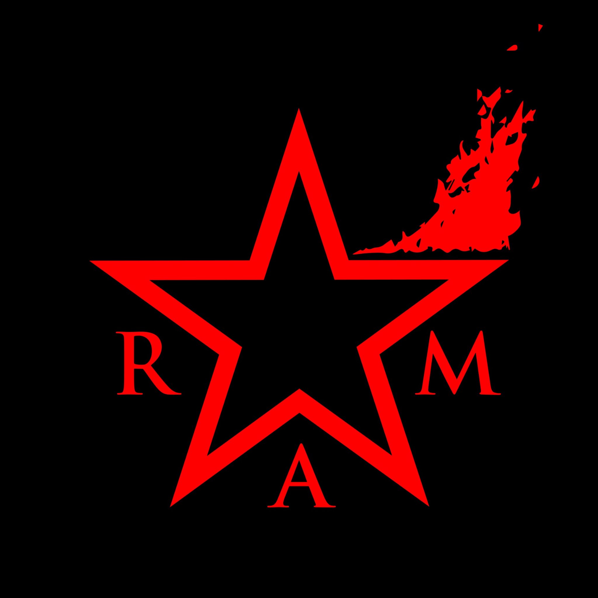 Revolutionary Abolitionist Movement Profile