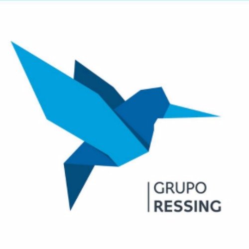 Grupo Ressing, es una empresa fundada en 2018 que enfoca sus procesos al reciclaje y tratamiento de PET (Polietileno tereftalato)