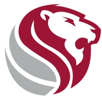 The official Twitter account of Haleyville Lions Basketball