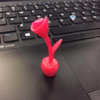 Tammy Paolino (@tammy_paolino) 's Twitter Profile Photo