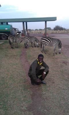 SirZephaniah's profile picture. King's son