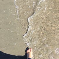 Heidi Glidden (@heidiglidden) 's Twitter Profile