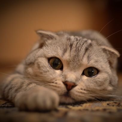 What am I doing here ? Time to leave