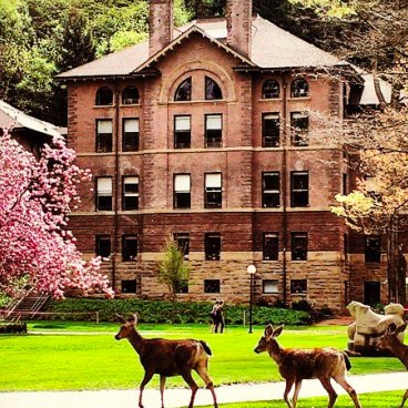 WesternStudent4's profile picture. Just some  WWU student with luscious red hair. Part of the #WeAreWWU campaign. Get ready for a great time at Boundary Bay this year! #CampWWU