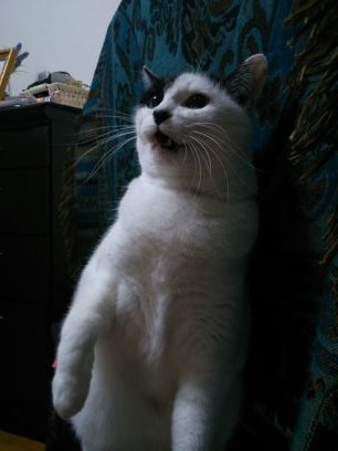 cubelucker2's profile picture. 