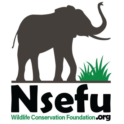 Nsefu Wildlife Conservation Foundation is a nonprofit focused on #wildlife #conservation and community assistance for the Nsefu area.