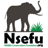 Nsefu Wildlife(@NsefuW) 's Twitter Profile Photo