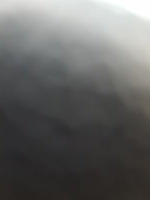 DelmontSami's profile picture. 