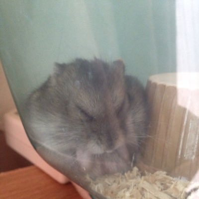 r3IislLChP3qOJB's profile picture. 