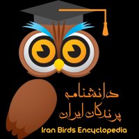 Iran Birds(@IranBirds) 's Twitter Profile Photo