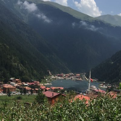 bo_nro66's profile picture. 