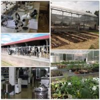 GIAMR UBU (@giamrb) 's Twitter Profile