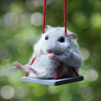 Luisonavarro's profile picture. Digo lo que pienso, politicamente incorrecto. Madridista, que no es lo mismo que ser del Madrid. Dime qué piensas de Mourinho para saber quién eres.