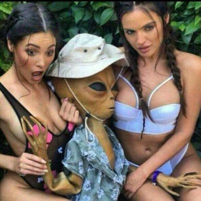 yolopego18's profile picture. La gonorrea que todas quieren