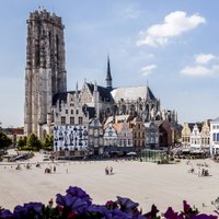 Visit Mechelen (@visitmechelen) 's Twitter Profile