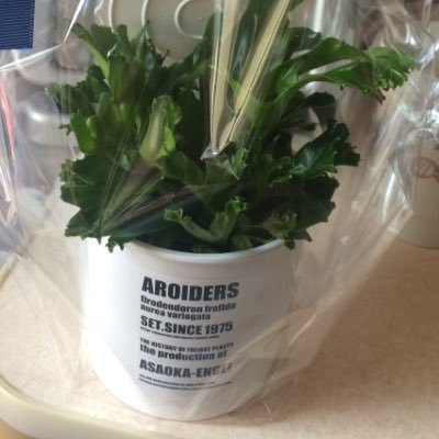 365heartache's profile picture. 