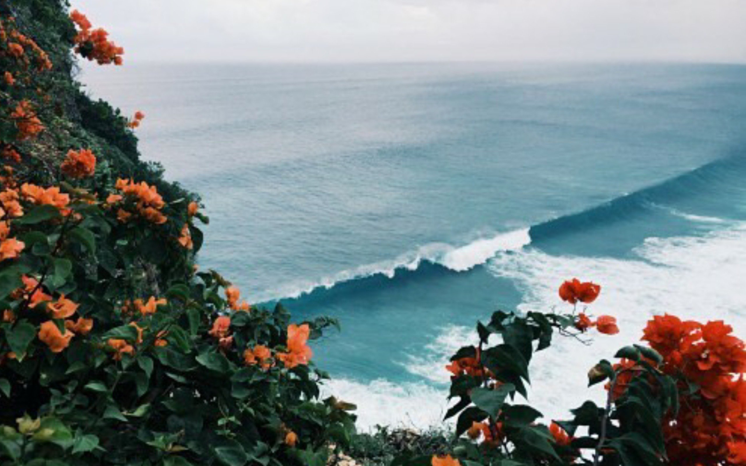 LizgillzL's profile picture. 