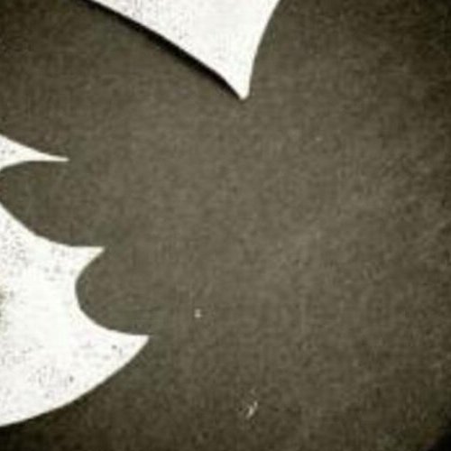 anissaveucasov2's profile picture. 