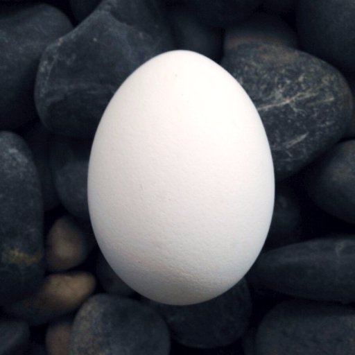 yCatap's profile picture. 