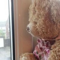 #hellomynameis Rosie (@rosiebear90) 's Twitter Profile
