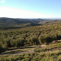Julio Martínez (@julanmarga) 's Twitter Profile Photo