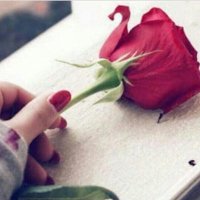 *..نورا .. نسرين ..* (@463vnkqaqxtardx) Twitter profile photo