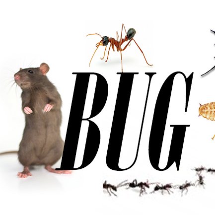 Bugah Pest Control – Commercial & Residential Termite, Flea & Pest Control Services Central Coast NSW