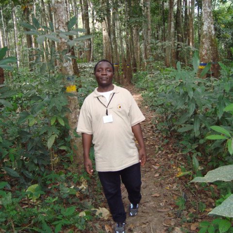 Senior Scientist,  Forest and Environment Program, Center for International Forestry Research (CIFOR), Central Africa Regional Office