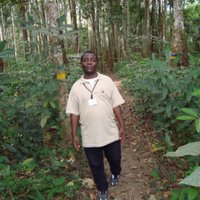 Sonwa Denis Jean (@sonwadenis) 's Twitter Profile