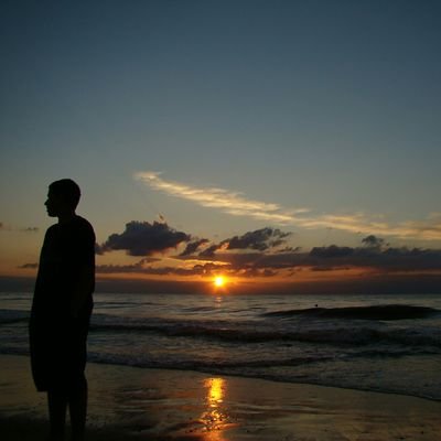 LostuZG's profile picture. 