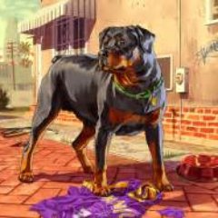 FreeIntroPolska's profile picture. 