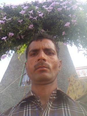 TyagiGeeta2's profile picture. 