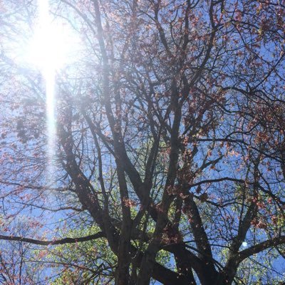 Christi65754721's profile picture. 