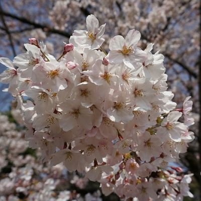 下町でのほほんと暮らしてます。twitter では新聞やテレビでは報じない真実を探しています。是々非々です。リツイート専門です。無言フォローご了承ください。