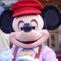 ぴぴぴ (@pipipi_tdr) 's Twitter Profile
