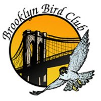 Brooklyn Bird Club (@bklynbirdclub) 's Twitter Profile Photo Brooklyn Bird Club (@bklynbirdclub) 's Twitter Profile Photo