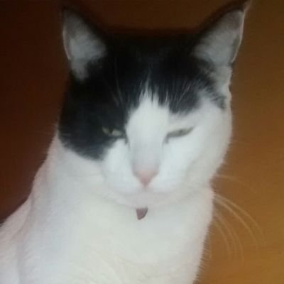 ivescmz's profile picture. 