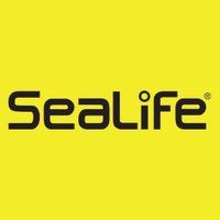 SeaLife Cameras(@SeaLifeCameras) 's Twitter Profile Photo