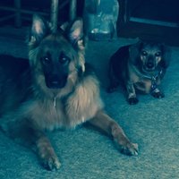 Jeronimo (@jeronimo63) 's Twitter Profile